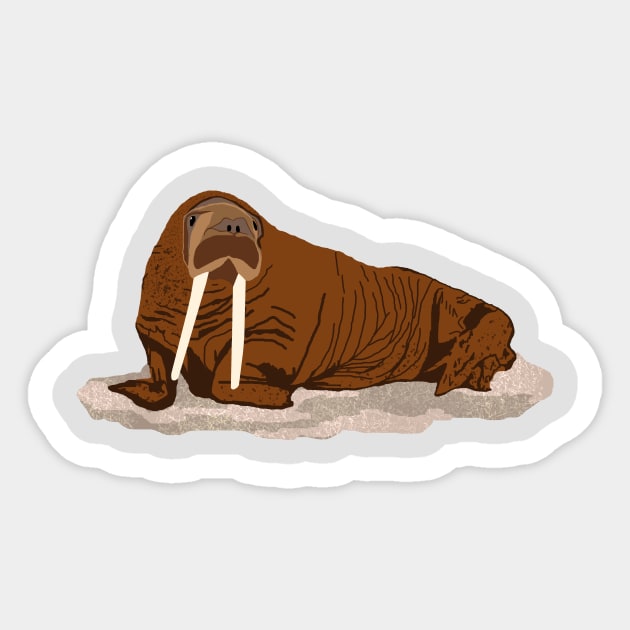 Pacific Walrus Sticker by artsandherbs